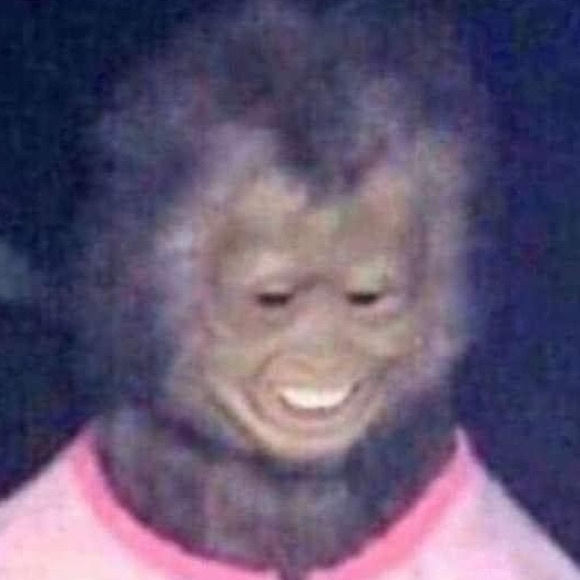 Meet your Posher, Jacob - Picture 1 of 1